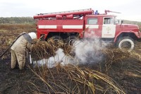 Упродовж минулої доби вогнеборці Чернігівщини ліквідували 5 пожеж