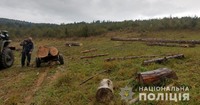 У Старосамбірському районі поліцейські викрили та припинили незаконну вирубку дерев 