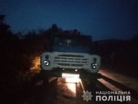 Іршавські поліцейські виявили порушення при перевезенні деревини