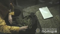 На Білопільщині поліція вилучила майже два кілограми нарковмісних рослин