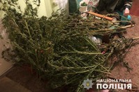 На Львівщині оперативники Нацполіції вилучили у наркоділка більше десяти кілограмів марихуани