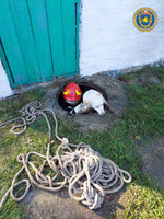 Ватутіне: рятувальники дістали з ями собаку