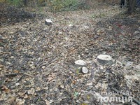 На Харківщині поліцейські викрили чоловіка у незаконній порубці лісу