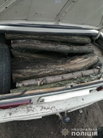 Горностаївські поліцейські викрили місцевих мешканців у спилюванні дерев акації