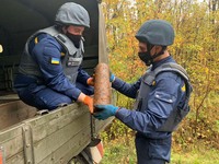 Чернівецька область: піротехніки знищили 2 артснаряди та гранату
