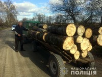 Ємільчинські поліцейські виявили нелегальний ліс у зупиненому за порушення Правил дорожнього руху тракторі
