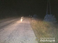 Радомишльська поліція встановлює водія, який втік з місця смертельної ДТП
