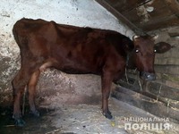 У Нижньосірогозькому районі поліцейські затримали викрадача худоби