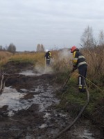 Київська область: рятувальниками ліквідовано загорання торфу