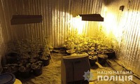 У Синельниківському районі поліцейські затримали злочине угруповання, яке займалося збутом наркотичних речовин