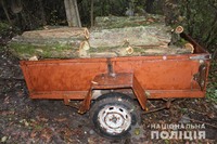 Поліцейські викрили жителів Кодими у незаконній порубці лісу