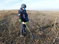 З початку року піротехніки ДСНС України вилучили та знищили понад 68 тисяч вибухонебезпечних предметів