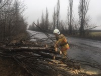 Добропільський район: рятувальники прибрали аварійне дерево з проїжджої частини