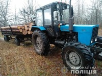 На Олевщині поліцейські викрили лісокрада