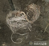 Любешівські поліцейські викрили викрадачів кабелю