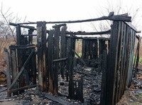 Запорізька область: рятувальники ліквідували пожежу на території приватного домоволодіння