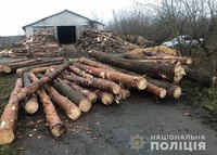 У Ківерцівському районі правоохоронці виявили незаконний ліс