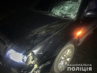 Слідчі розслідують обставини ДТП на Миколаївщині, де під колесами автомобіля Skoda загинув пішохід