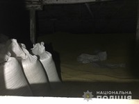 Поліція Сумщини викрила трьох осіб, що займались крадіжками насіння сої