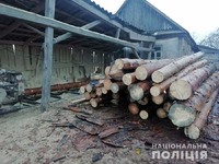 На Житомирщині поліцейські викрили два випадки незаконних оборудок з лісом