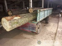 Чуднівські поліцейські виявили нелегальну деревину на пилорамі