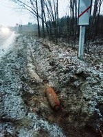 Житомирський район: піротехніки знищили артснаряд, який помітив водій маршрутки