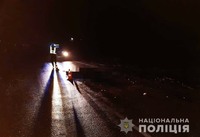 Поліцейські розслідують обставини смертельної ДТП у Білгород-Дністровському районі