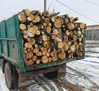 У Немирові поліція затримала вантажівку, водій якої незаконно перевозив деревину