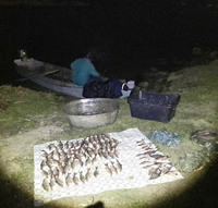 У Новоодеському районі правоохоронці виявили браконьєра, який за допомогою незаконних знарядь займався виловом біоресурсів