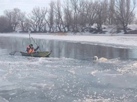 Одеська область :рятувальники вивільнили лебедя з крижаної пастки