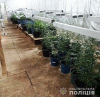 На Вінниччині поліцейські ліквідували ферму з вирощування наркотичних рослин