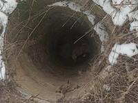Смт Велика Новосілка: бійці ДСНС врятували собаку, який впав у непрацюючий колодязь