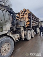 Закарпатські поліцейські затримали дві вантажівки з деревиною сумнівного походження