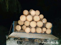 Поліцейські виявили вантажівку з викраденою лісодеревиною на Івано-Франківщині
