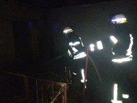 Петриківський район: ліквідовано пожежу у господарчій будівлі