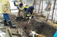Упродовж минулого тижня надзвичайники Чернігівщини врятували 4 особи та 56 разів залучалися до ліквідації пожеж, надзвичайних подій та надання допомоги населенню