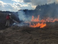 Нововодолазький район: рятувальники ліквідували пожежу на відкритій території