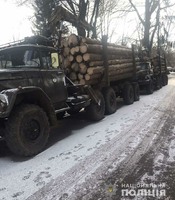 Олевські правоохоронці затримали дві вантажівки з нелегальним лісом