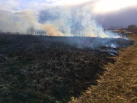 Бородянський район: рятувальники тричі залучалися до гасіння пожеж в екосистемах