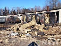 Майже 60 бочок для випалювання деревного вугілля вилучили поліцейські на Рівненщині