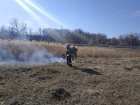 За добу на Кіровоградщині виникло 2 пожежі сухої рослинності на відкритих територіях
