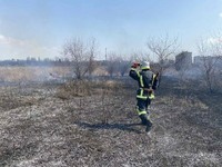 Верхньодніпровський район: ліквідовано пожежу в екосистемі