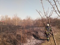 М Кам'янське: вогнеборці ліквідували пожежу на відкритій території