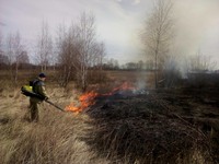 Іванківський район: рятувальники два рази залучались на ліквідацію пожеж в екосистемах