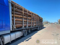 Овруцькі поліцейські затримали вантажівку з деревиною без відповідних документів