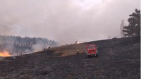 На Сумщині вогнеборці приборкали шість масштабних загорянь сухої рослинності