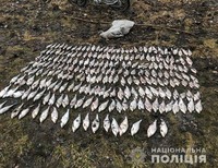 Поліція Полтавщини спільно з рибоохоронним патрулем виявили правопорушника, який незаконно ловив рибу