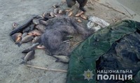 Поліція Полтавщини вилучила у «браконьєрів» 64 кілограми незаконного улову риби, човни та сітки