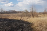 Випалювання сухостою призвело до 26 пожеж в екосистемах Харківщини