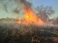 Миронівський район: рятувальники 6 разів залучалися до гасіння пожеж в екосистемах